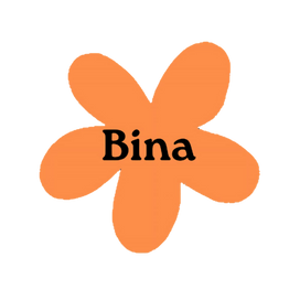 Bina Cosmetic