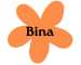 Bina Cosmetic